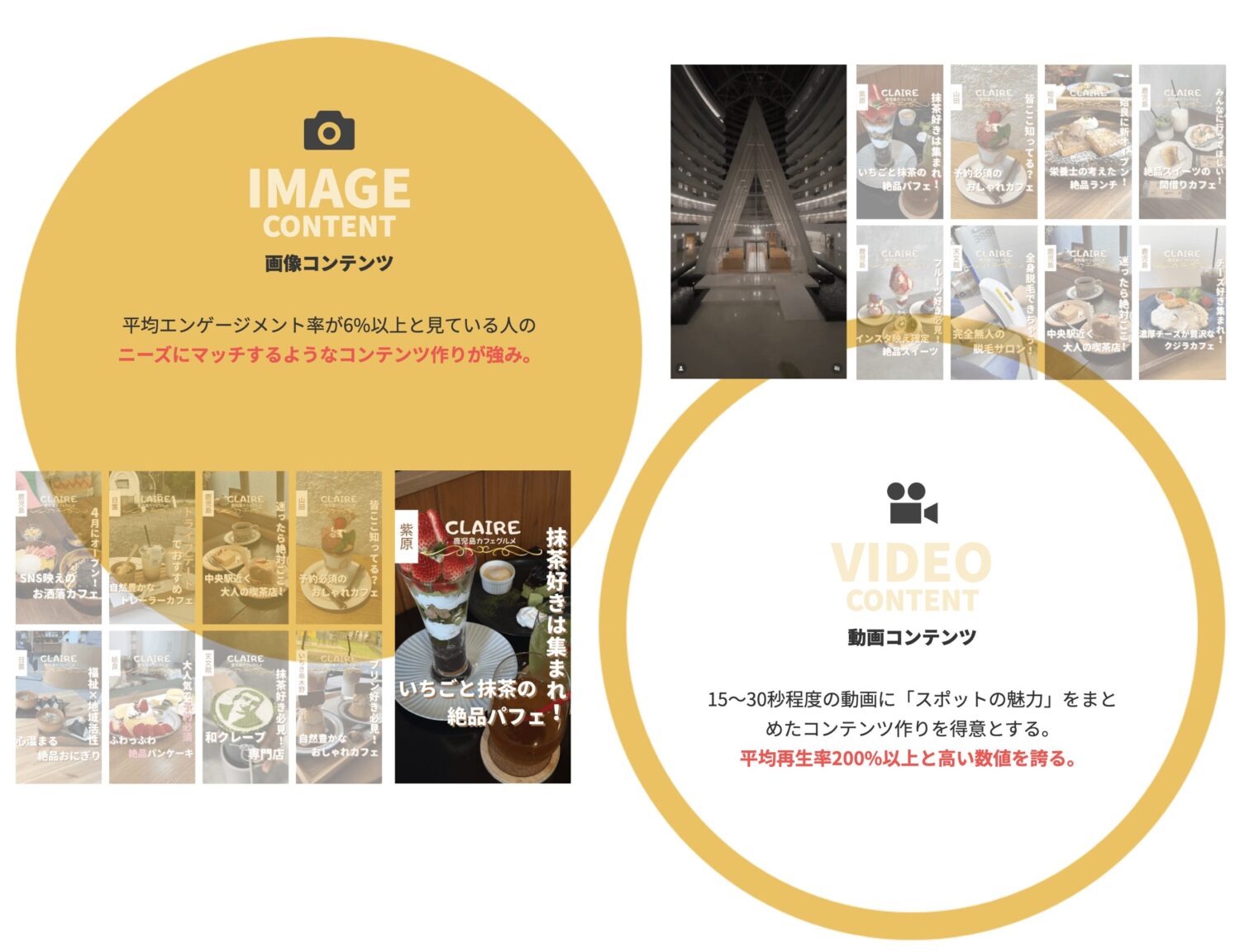 StorePro Assistの実績