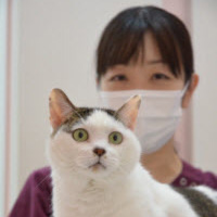 猫の診療室モモ 院長 谷口 史奈