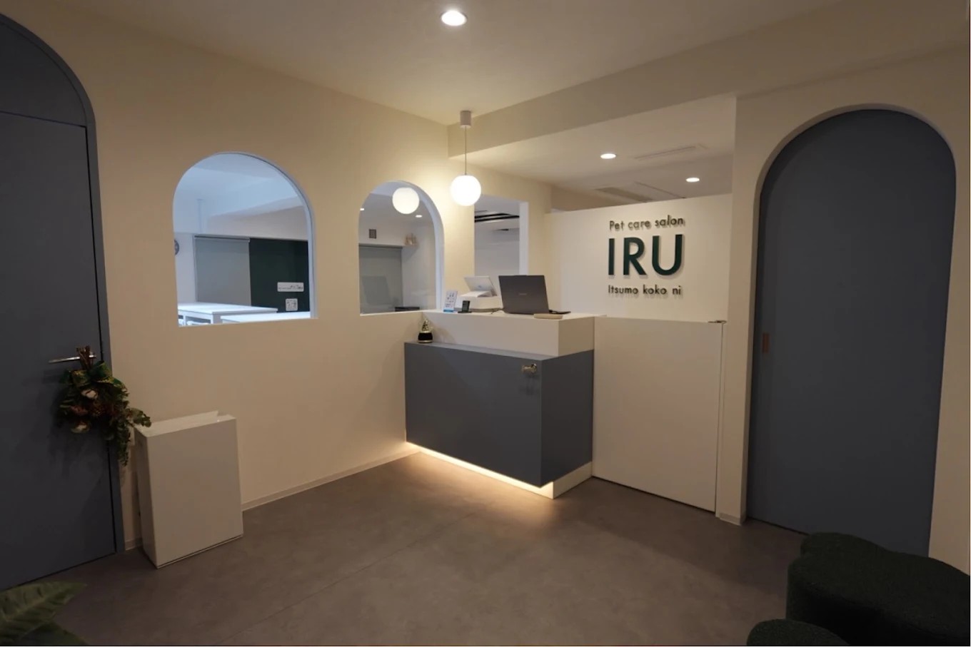 Pet care salon IRU